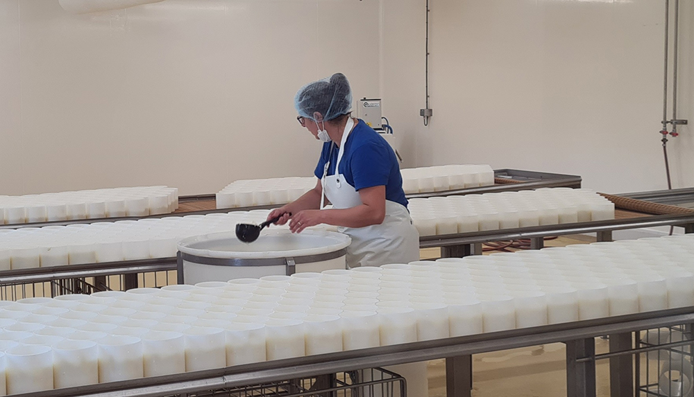 Fabrication du camembert
